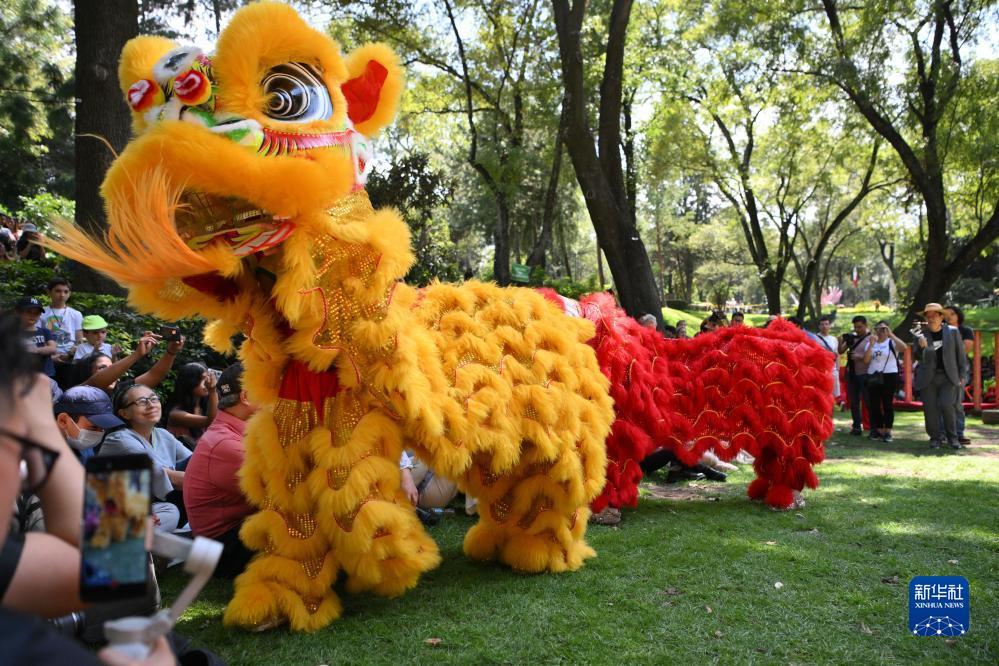 抢皇冠游戏